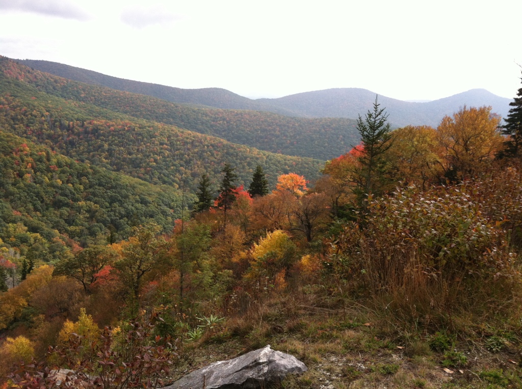 Fall Color Drive